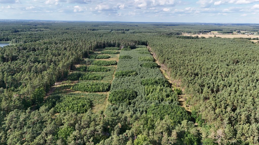 Forêt et campagne vues du ciel